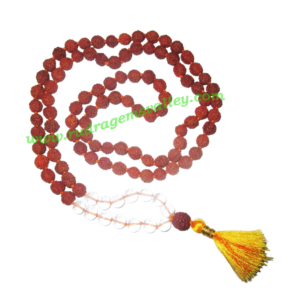 Rudraksha 5 Mukhi Five Face 8mm With Diamond Cut Crystal Sphatik