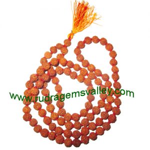 Rudraksha 5 mukhi (five face) 9mm to 9.5mm beads string (mala of 108+1 beads), Indonesian pure original rudraksha, available in natural color as well as dyed color with or without knots, pack of 1 string.