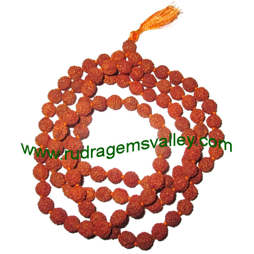 Rudraksha 5 mukhi (five face) 11mm beads string (mala of 108+1 beads), Indonesian pure original rudraksha, available in natural color as well as dyed color with or without knots, pack of 1 string.