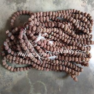 Rudraksha 5 mukhi (five face) 16mm-18mm beads string (mala of 108+1 beads), Nepali Black pure original rudraksha without knots, pack of 9 string.