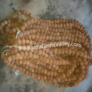 Rudraksha 5 mukhi (five face) 16mm-18mm beads string (mala of 108+1 beads), Nepali Natural pure original rudraksha without knots, pack of 9 string.