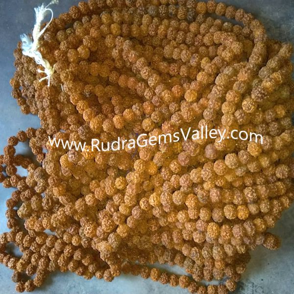 Rudraksha 5 mukhi (five face) 16mm-18mm beads string (mala of 108+1 beads), Nepali Yellow dyed pure original rudraksha without knots, pack of 9 string.