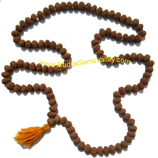 Rudraksha 8 mukhi (eight face) 108+1 beads knotted mala, approx 8mm to 10mm beads, Indonesia pure original rudraksha.