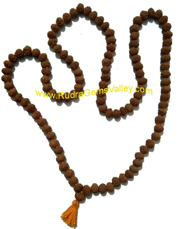 Rudraksha 10 mukhi (ten face) 108+1 beads knotted mala, approx 8mm to 10mm beads, Indonesia pure original rudraksha.