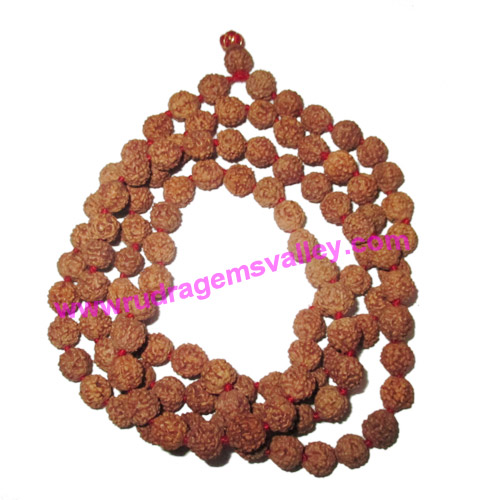 Rudraksha 5 mukhi (five face) heavy weight 7mm beads mala of 108+1 beads, Indonesian pure original rudraksha in natural color and knotted each beads, pack of 1 string.