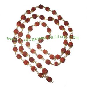 Rudraksha 5 mukhi (five face) 7mm to 8mm beads mala of 54+1 beads with gold plated metal caps, no tassel, Indonesian pure original rudraksha, also available in natural color as well as dyed color with or without knots, pack of 1 mala.