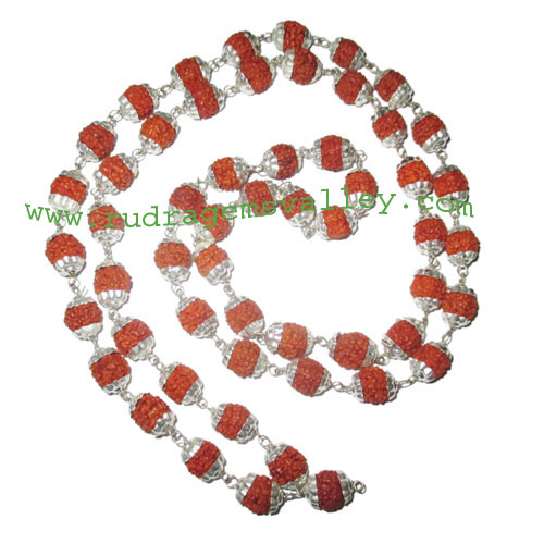 Rudraksha 5 mukhi (five face) 7mm to 8mm beads mala of 54+1 beads with silver plated metal caps, no tassel, Indonesian pure original rudraksha, also available in natural color as well as dyed color with or without knots, pack of 1 mala.