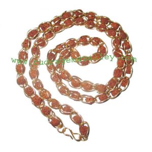 Rudraksha 5 mukhi (five face) 7mm to 8mm beads mala of 65 beads in gold plated metal wire, no tassel, Indonesian pure original rudraksha, also available in natural color as well as dyed color with or without knots, pack of 1 mala.