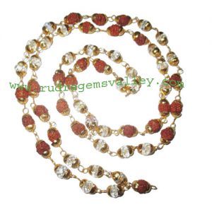 Rudraksha 5 mukhi (five face) 7mm to 8mm beads mala of 54+1 beads (25 rudraksha and 30 diamond glass beads) knotted in gold plated metal wire with caps, no tassel, Indonesian pure original rudraksha, also available in natural color as well as dyed color w