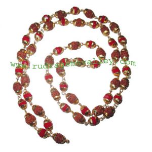 Rudraksha 5 mukhi (five face) 7mm to 8mm beads mala of 54+1 beads (28 rudraksha and 27 red glass beads) knotted in gold plated metal wire with caps, no tassel, Indonesian pure original rudraksha, also available in natural color as well as dyed color with