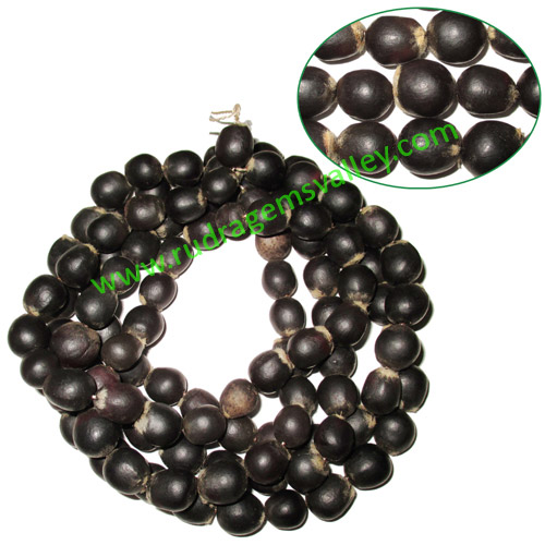 Reetha Wood Beads-Seeds String (mala of 108+1 beads), made of 14mm sapindus mukorossi ritha beads, pack of 1 string.