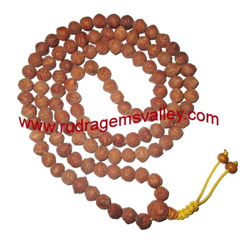 Raktu Mala, budhha raktu mala, buddhism raktu mala, bodhi mala, auspicious wood beads-seeds string (prayer mala of 108 beads), beads size 11mm to 12mm