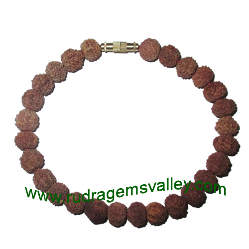 Rudraksha four face (4 mukhi) 8mm 27 beads bracelets with screw hook. The 4 faced rudraksha beads are useful for developing creativity, communication and meditation; prevents blood circulation, cough, asthma, hesitation, memory lapse, respiratory strip, h