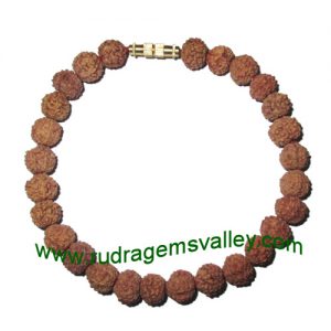 Rudraksha seven face (7 mukhi) 8mm 27 beads bracelets with screw hook. The 7 mukhi rudraksha beads are useful for gaining hidden treasure, wealth, pleasure, peace, easiness and happiness; it cures asthma, pharyngitis, impotency, foot related diseases, res