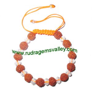 Adjustable beaded free size bracelets, made of rudraksha beads and faceted clear glass beads as per picture. Pack of 1 piece, also available in custom designs and colors as per your instructions.