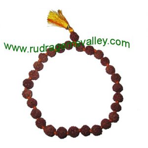 Rudraksha five face (5 mukhi) 8mm 27 beads bracelets knotted in cotton thread. Five faced (5 mukhi) rudraksha beads are useful for removing lust, greed, attachment, jealousy, unwanted ego etc.; it prevents and cures blood pressure, heart problems, stress,