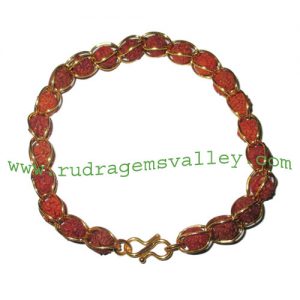 Rudraksha 5 mukhi (five face) 7mm to 8mm 22 beads bracelets made in gold plated wire as per picture. Pack of 1 piece, also available in custom designs and colors as per your instructions.