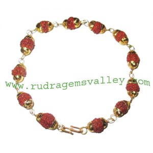 Rudraksha 5 mukhi (five face) 7mm to 8mm bracelets of 12 rudraksha beads in gold plated cap and wire as per picture. Pack of 1 piece, also available in custom designs and colors as per your instructions.