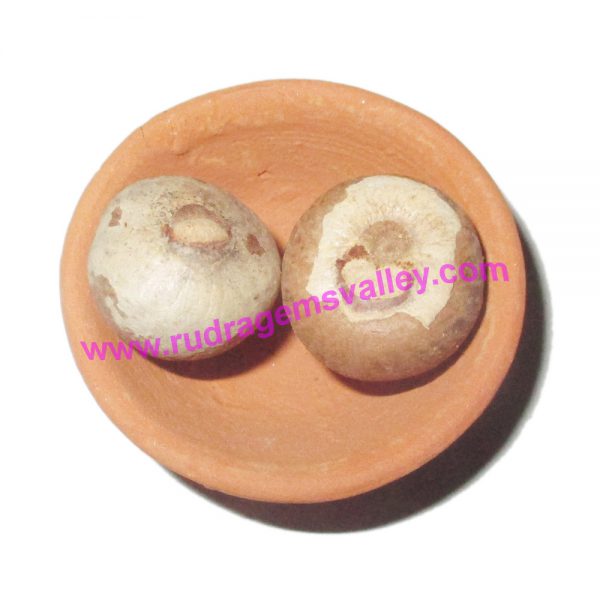 Pooja materials (puja samagri) betel nut (supari),