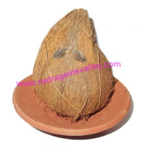 Pooja materials (puja samagri) water coconut (pani nariyal, jaldar nariyal),