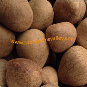 Pooja materials (puja samagri) dry coconut (dry nariyal),